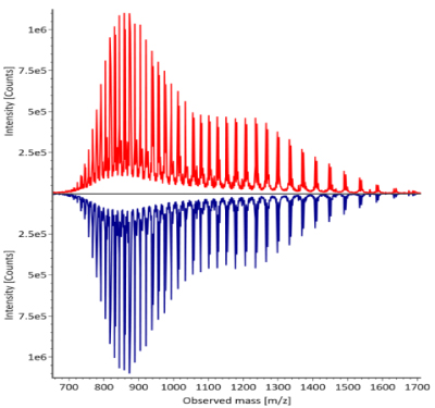 Summed up mass spectra for heavy chain of fully reduced trastuzumab. The innovator is represented by a red curve, while the biosimilar is depicted by a blue curve, with intensity measured in counts on the y-axis and observed mass on the x-axis.